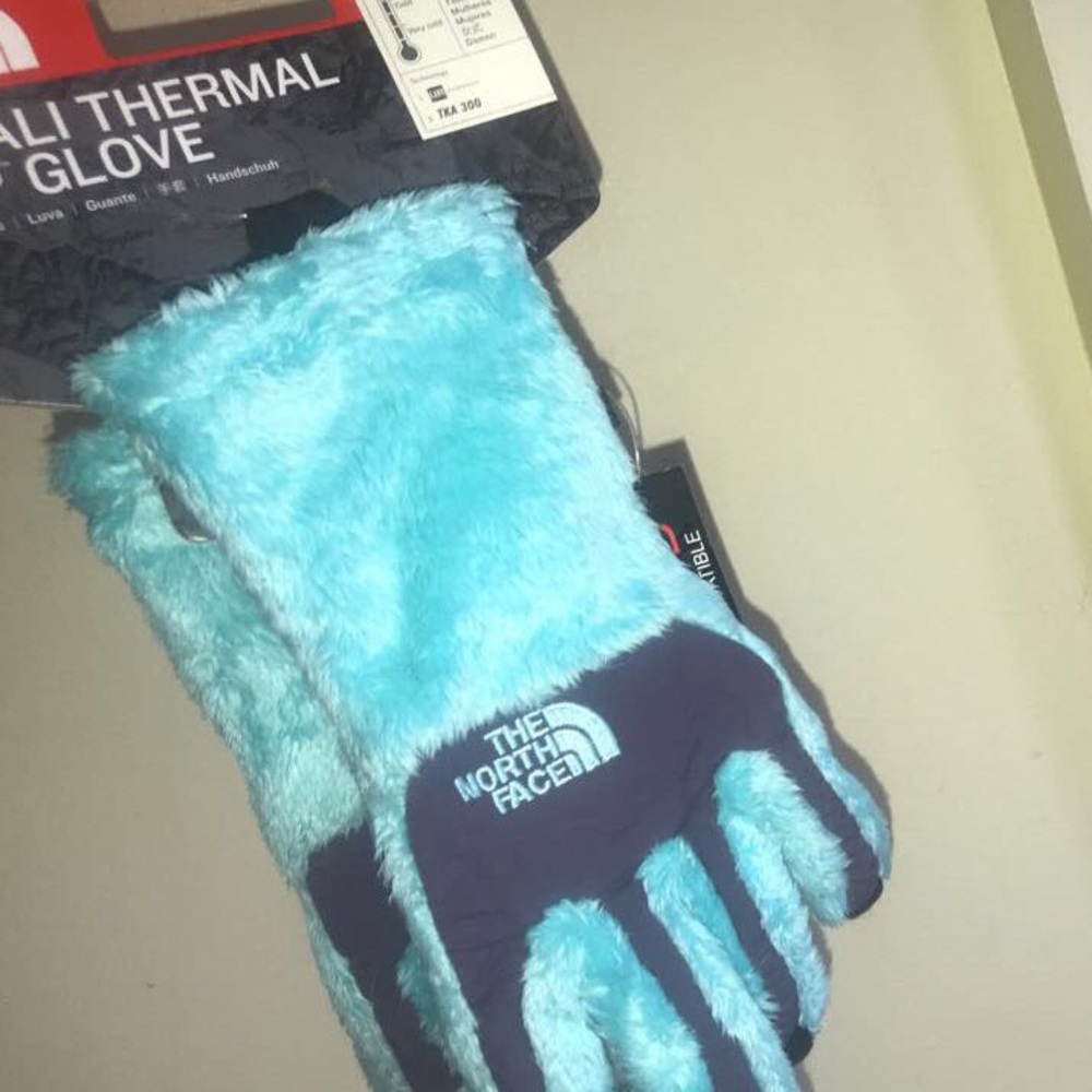 North face Denali thermal etip glove